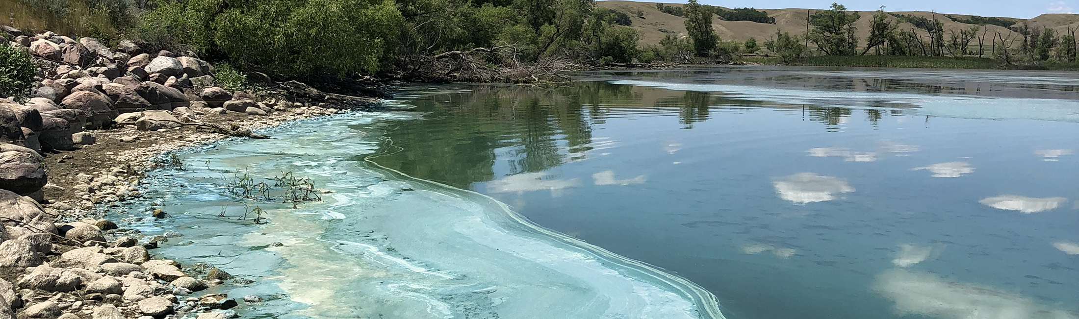 A lake with Algal Blooms