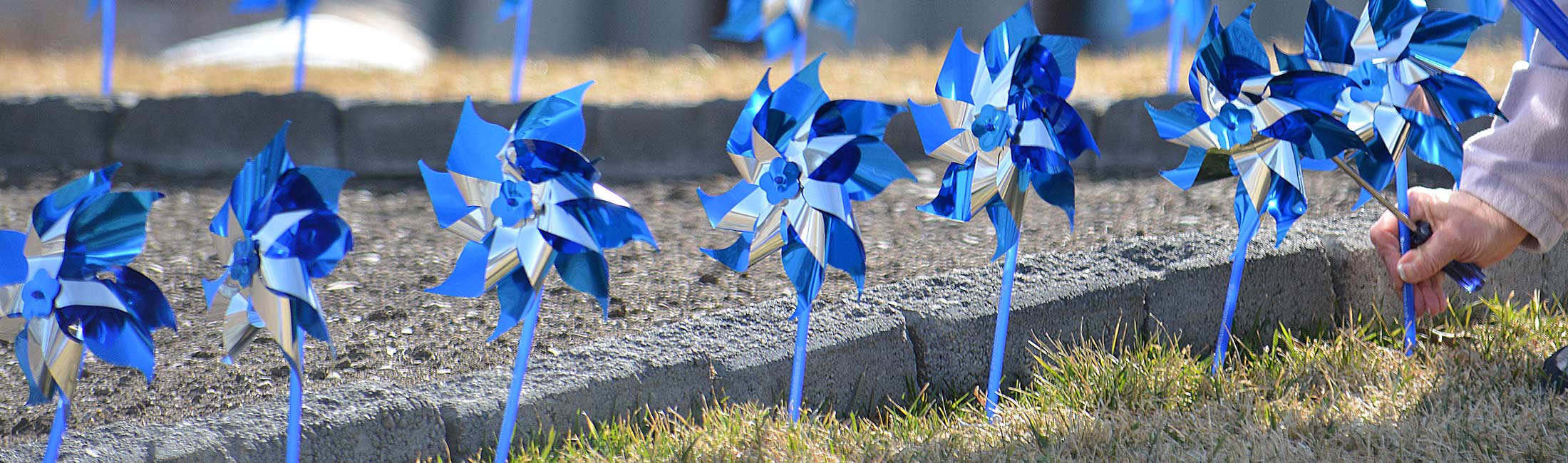 blue pinwheels being placed in the grass 