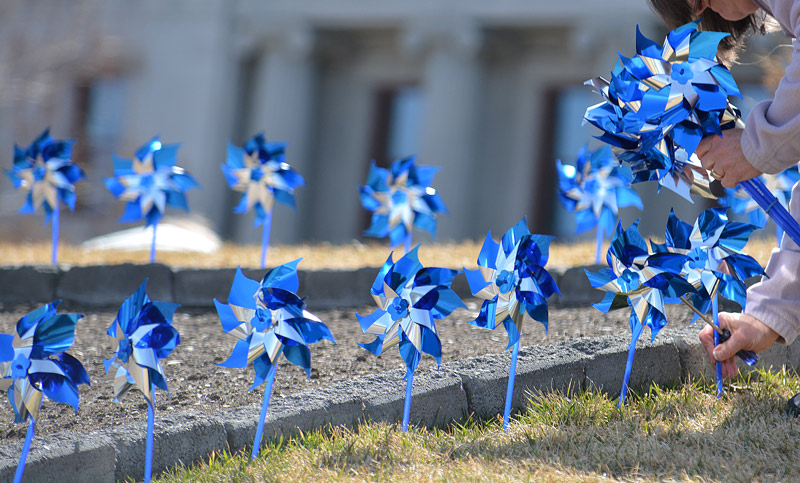 blue pinwheels being put into the grass