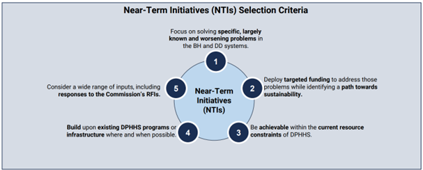 Near-Term Initiatives Selection Criteria graphic