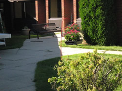 Courtyard with flowers