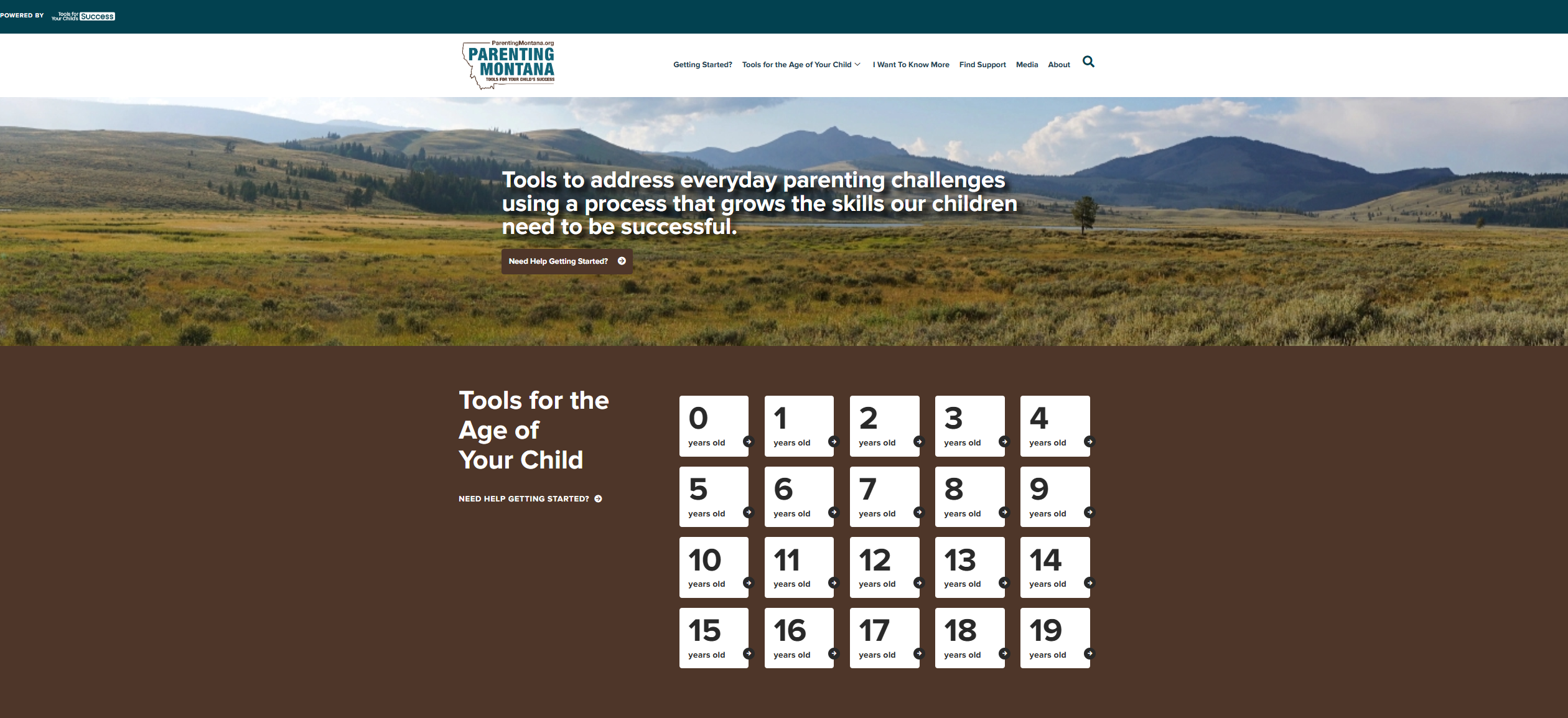 Montana scenic with a block of squares below it showing the ages 0 - 19