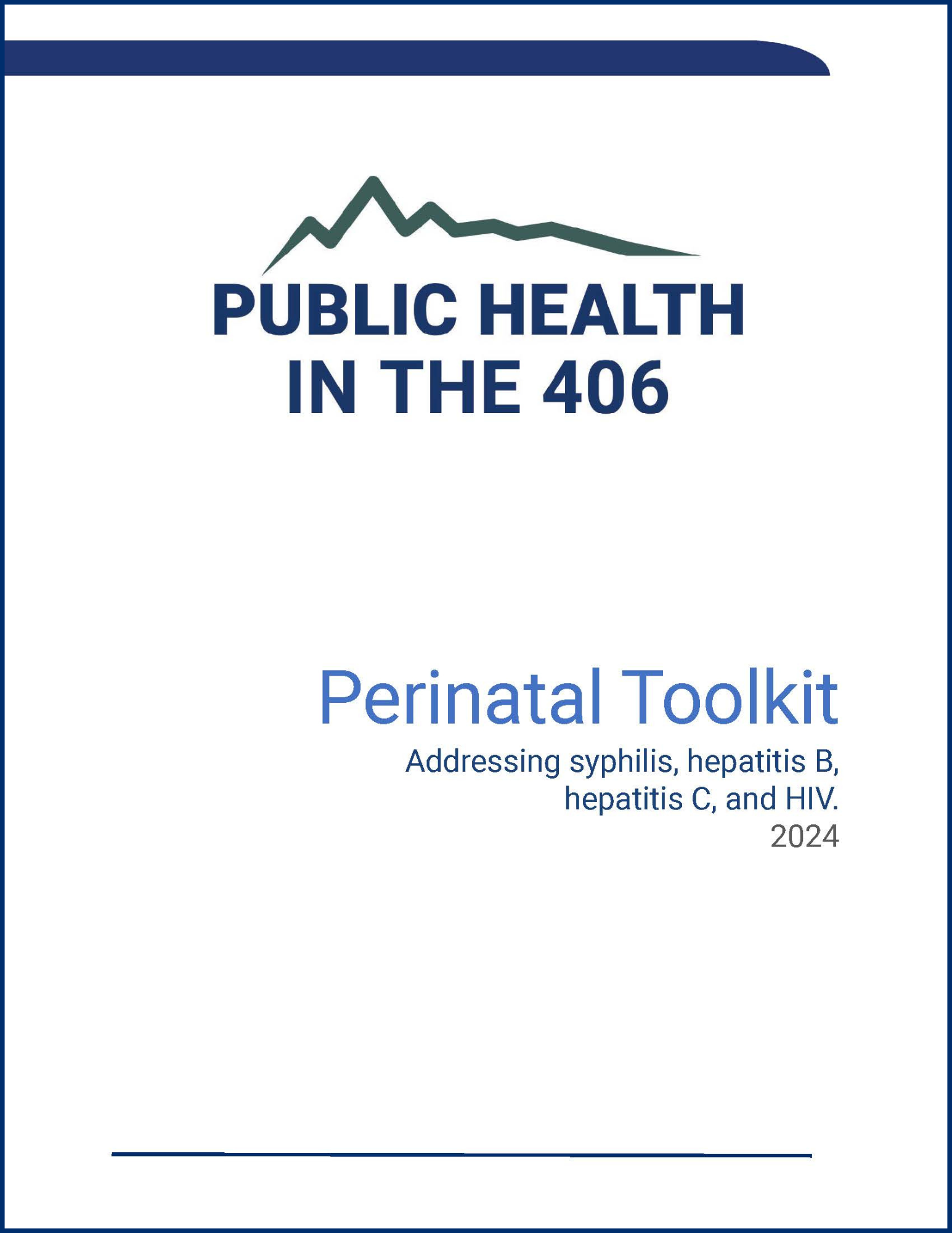 Perinatal Toolkit: Addressing syphilis, hepatitis B, hepatitis C, and HIV 2024