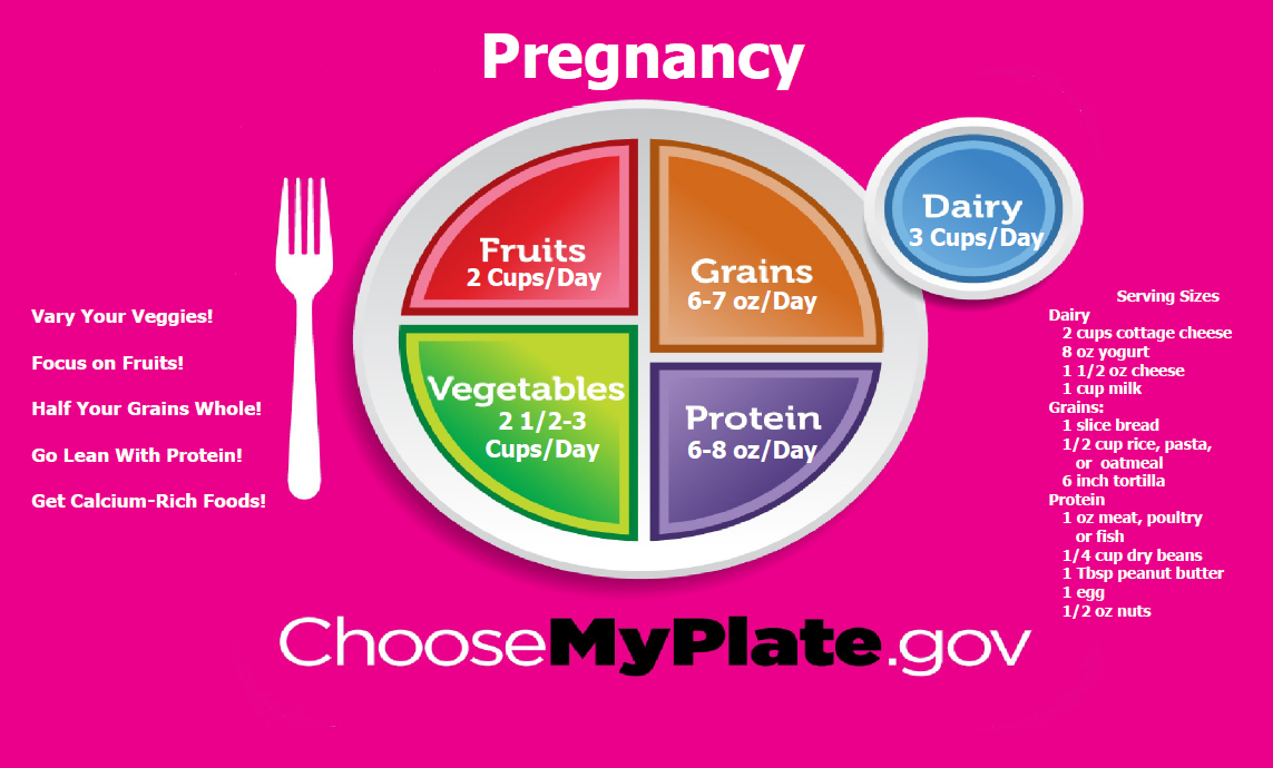 Pregnancy MyPlate