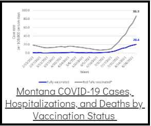 Hospitalization and deaths by vaccination status