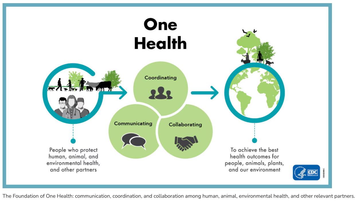 OneHealth_Zoonotics_Graphic