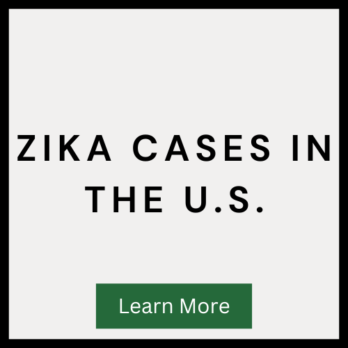 Zika Cases in the US
