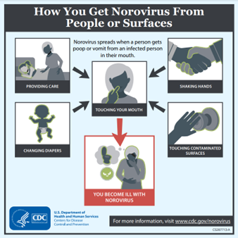Norovirus Transmission Graphic