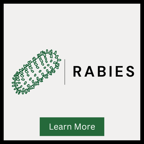 Rabies Icon