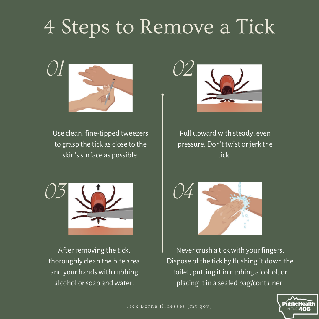 how to remove a tick