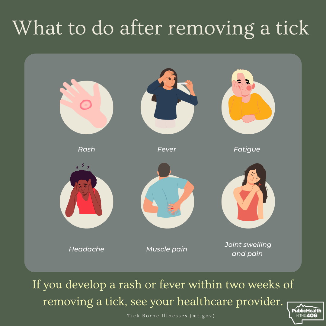 what to do after removing a tick