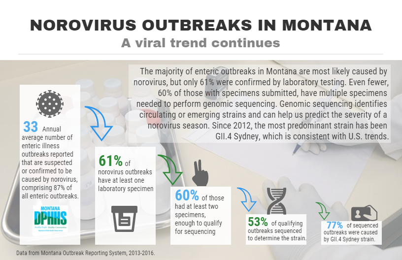 Norovirus outbreaks in Montana