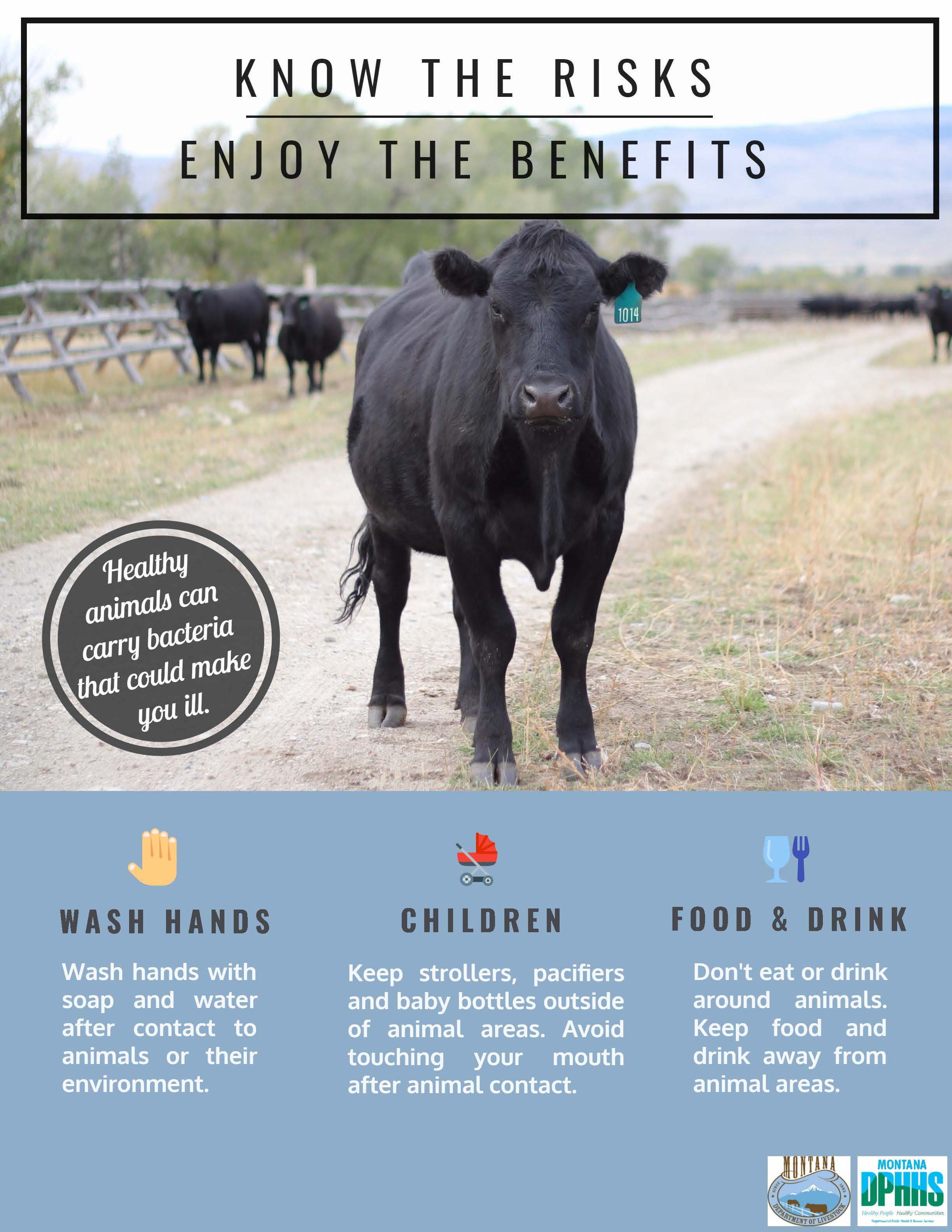 Know the risks, enjoy the benefits (cows)
