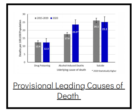 Provisional leading cause of death