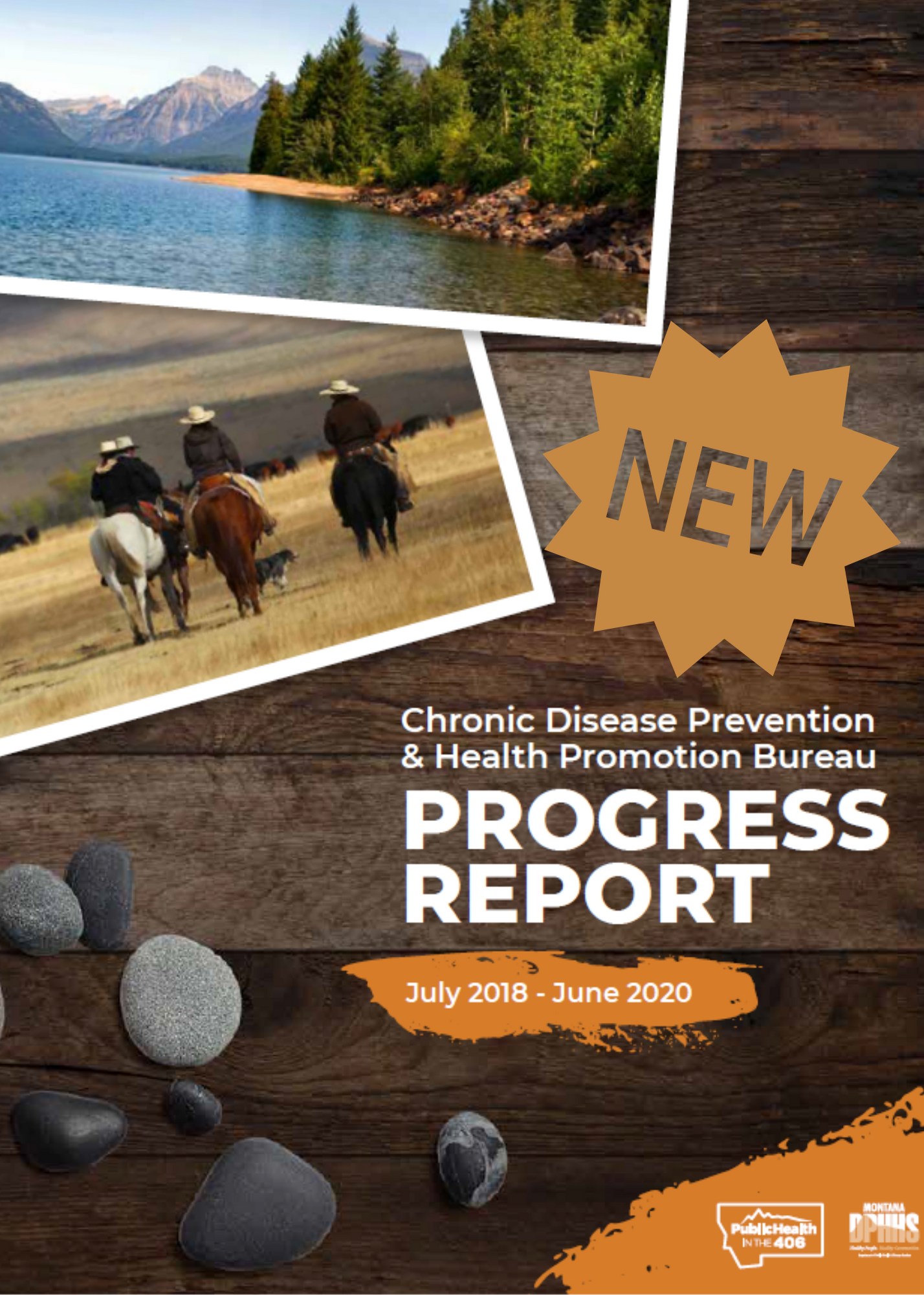 Photo of the 2018-2020 Chronic Disease Prevention and Health Promotion Bureaus Progress Report Cover
