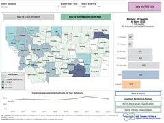 Injury and Overdose Indicators Dashboard