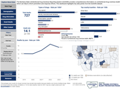 Unintentional Drug Overdose Deaths Dashboard