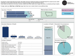 Violent Deaths Dashboard