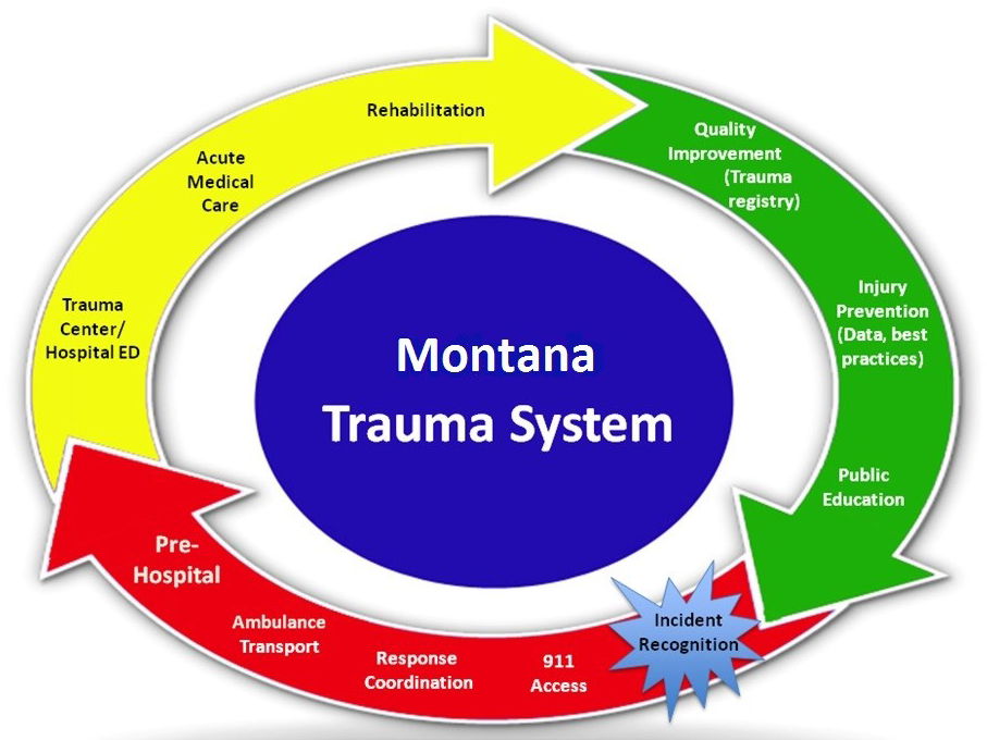 Trauma Systems Photo