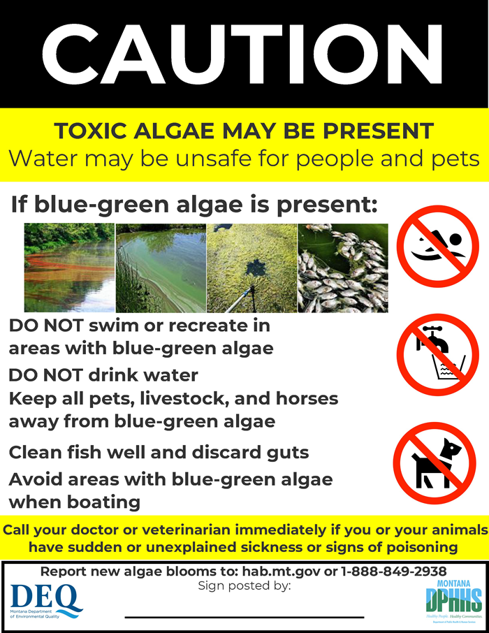 Harmful Blue-Green Algae Blooms