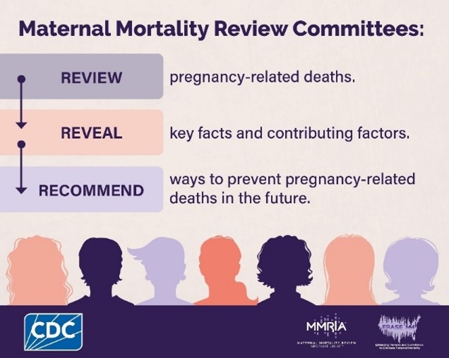 Maternal Mortality Review Committee.jpg