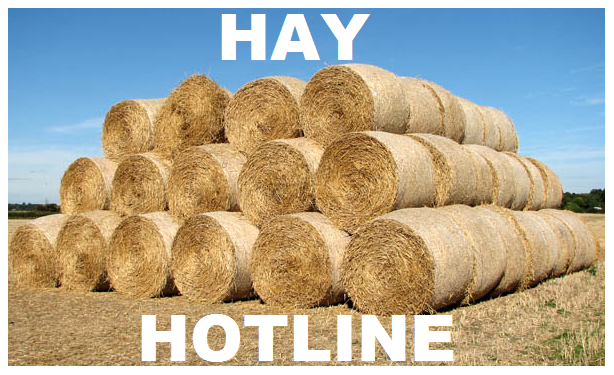 Hay Hotline