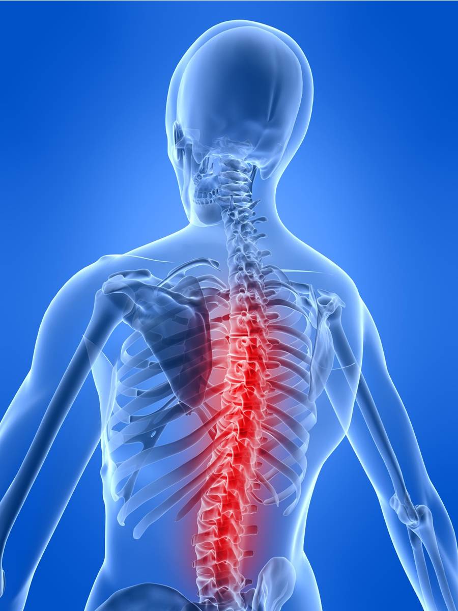 Image of human skeleton with spine highlighted in red
