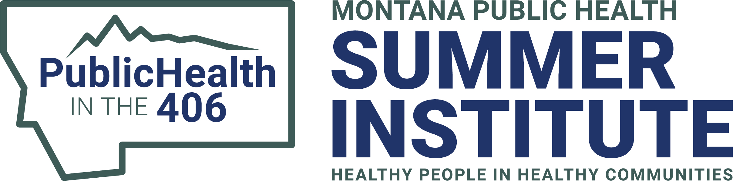 Public Health Summer Institute Logo