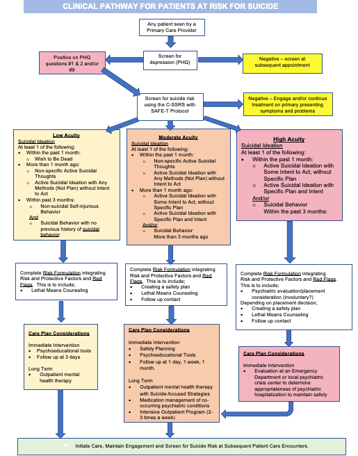 Suicide Prevention in Pediatric Populations